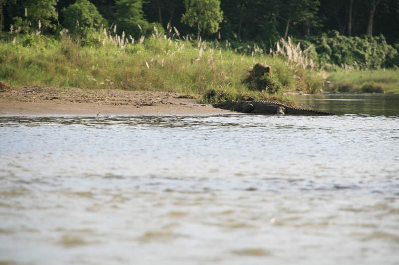 India & Nepal 2011 - 0580